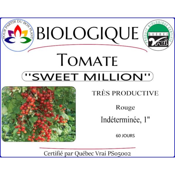 tomate sweet million