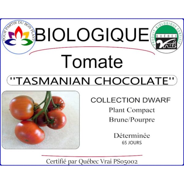 tomate tasmanian chocolate