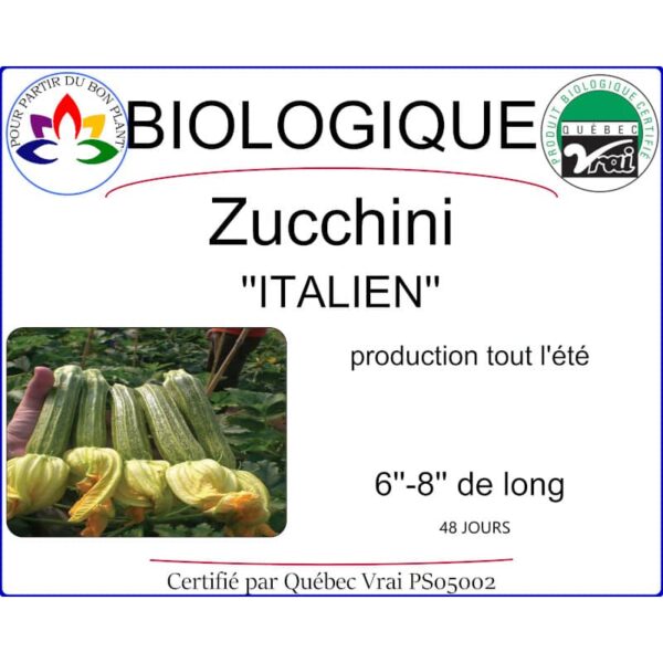 zucchini italien