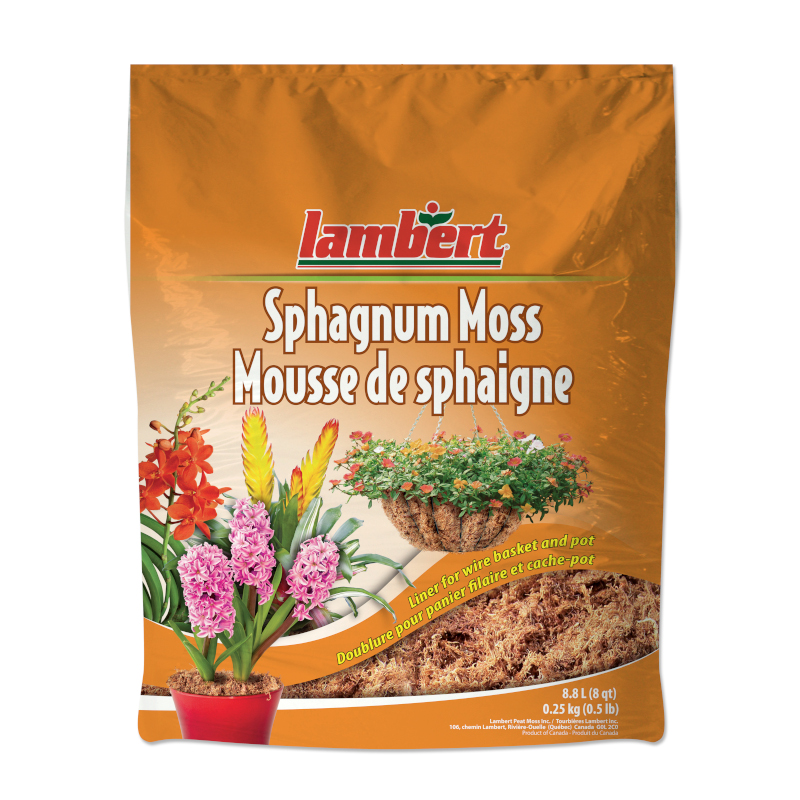 1pack 150g Mousse de sphaigne naturelle comprimée Tourbe sèche Mousse  Rempotage mousse Artisanat