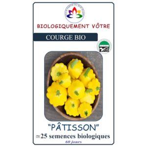 courge-patisson-jaune
