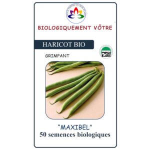 haricot-vert-maxibel