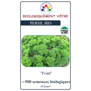 Persil Frisé