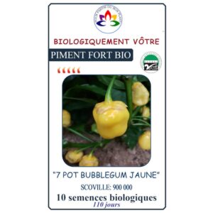 piment 7 pot bubblegum jaune