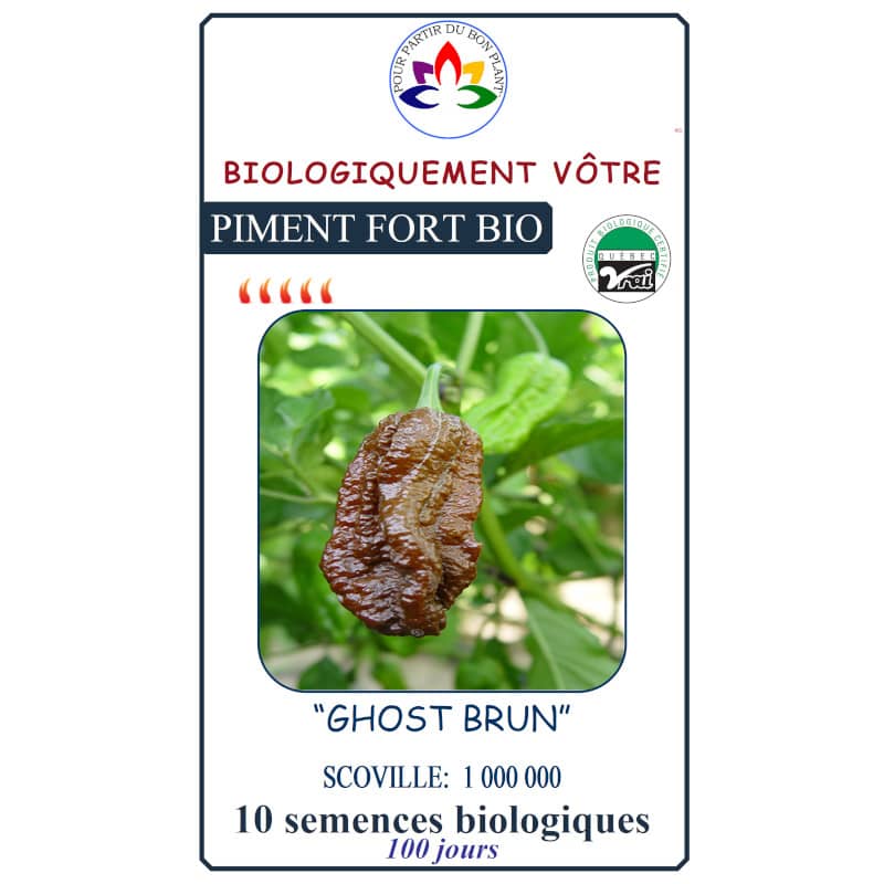 piment bhut jolokia brun