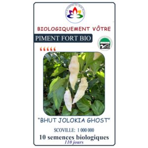piment bhut jolokia ghost blanc