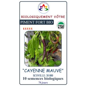 piment-cayenne-mauve