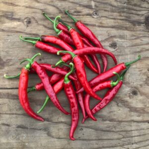 piment cayenne ring of fire