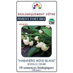 piment-habanero-mini-blanc