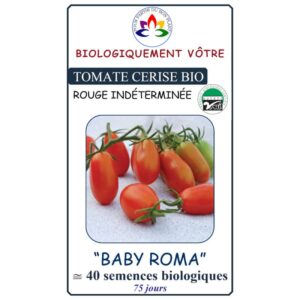 tomate-baby-roma