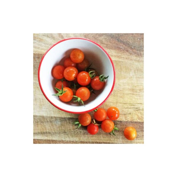 tomate cerise petit moineau
