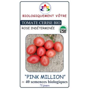 tomate-cerise-rose-pink-million