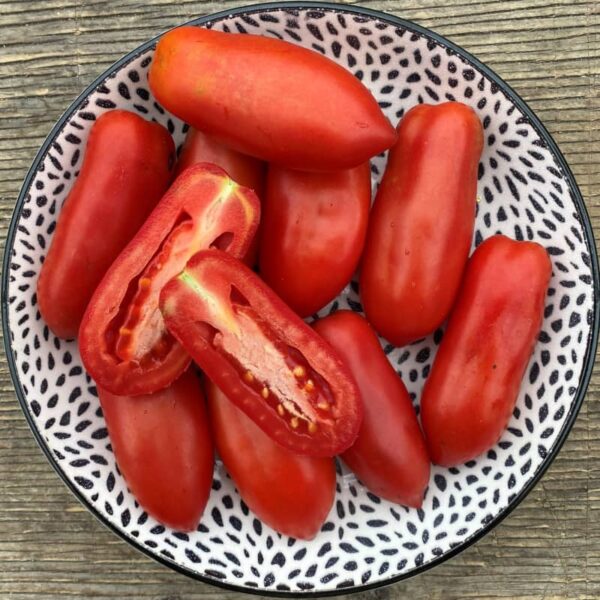 tomate dix doigts de naples