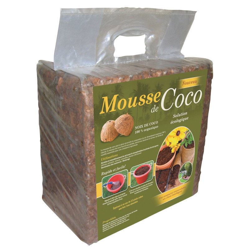 mousse de coco compressée