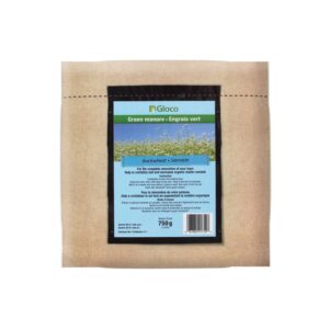 semences de sarrasin