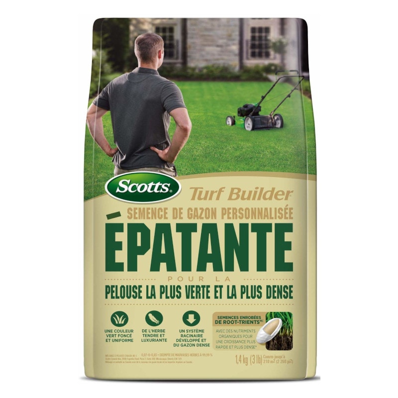 semence pelouse turf builder