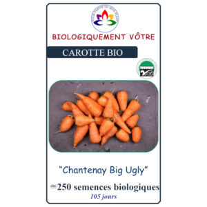 Carotte Chanenay