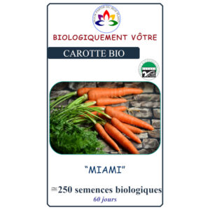 Carotte Miami
