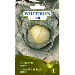 Chou d'Été Bronco 69-3547