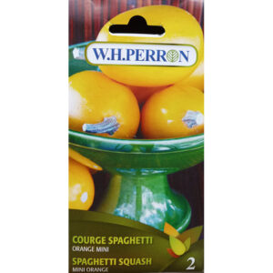 Courge Spaghetti Orange Mini 69-4505
