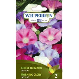 Gloire du Matin Lazy Luxe 69-8490