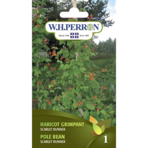 Haricot Grimpant Scarlet Runner 69-5350