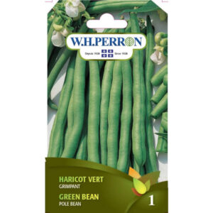Haricot Vert Grimpant 69-5310