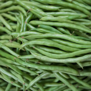 Haricot à Rames de Blue Lake