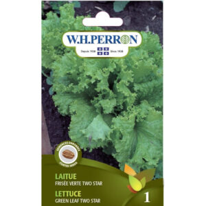 Laitue Frisée Verte Two Star 69-5617