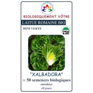 Laitue Mini Romaine Verte Xalbadora