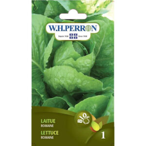Laitue Romaine Bio 69-5787