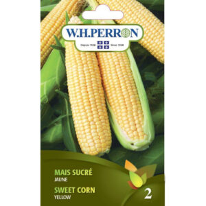 Mais Sucre Jaune 69-1375