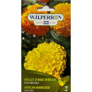 Oeillet d'Inde Africain Coco Mélange 69-4350