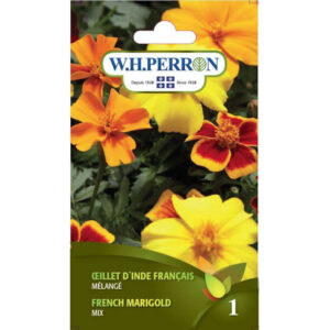 Oeillet d'Inde Français 69-4410