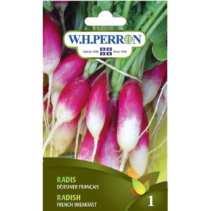 Radis Déjeuner Français 69-8055