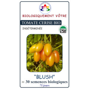 Tomate Cerise Bush
