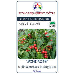 Tomate Cerise Mini-Rose