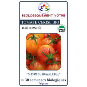 Tomate Cerise Sunrise Bumblebee