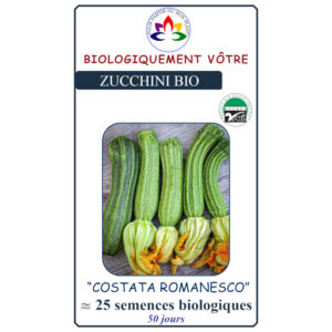 Zuchini Costata Romanesco