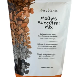 Mélange terreau d'empotage pour cactus et succulentes