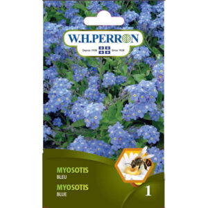 Myosotis Bleu