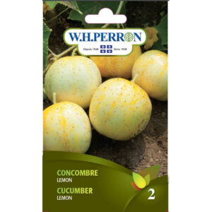 Concombre Lemon