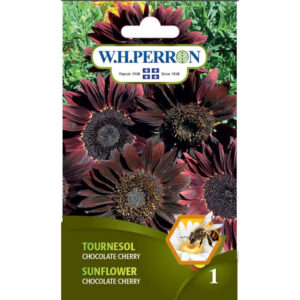 Tournesol Chocolate Cherry