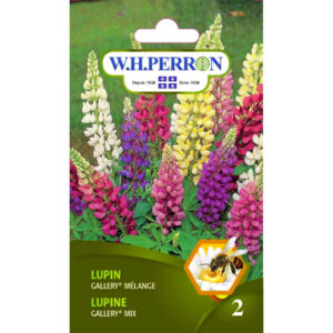 Mélange de Lupin