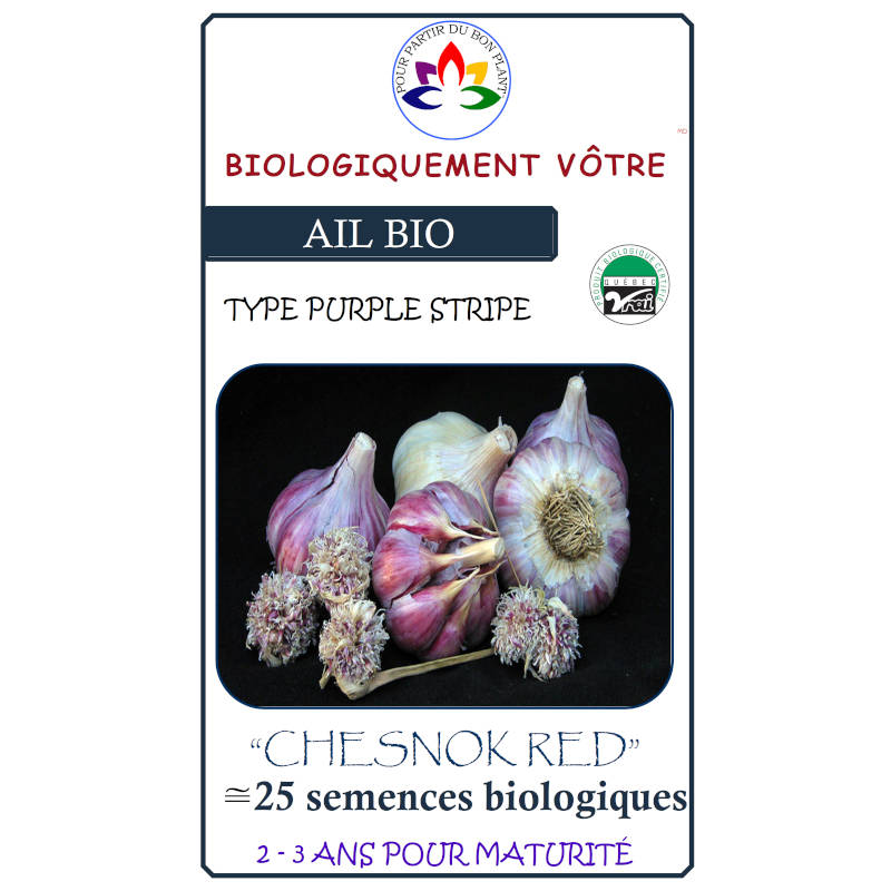 NOUVEAUTÉ: Bulbilles D'Ail Chesnok Red