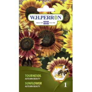 Tournesol Autumn Beauty