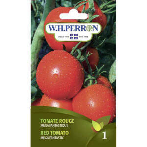 Tomate Rouge Mega Fantastique