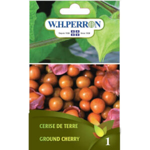 Cerise de Terre