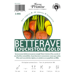 Betterave Touchstone Gold