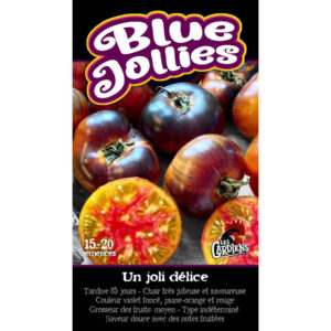 Tomate Blue Jollies
